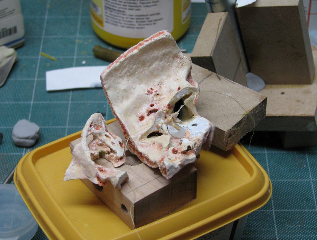 Colour photograph of a 3d printed inner ear