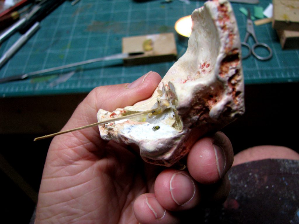 Colour photograph of a 3d printed inner ear