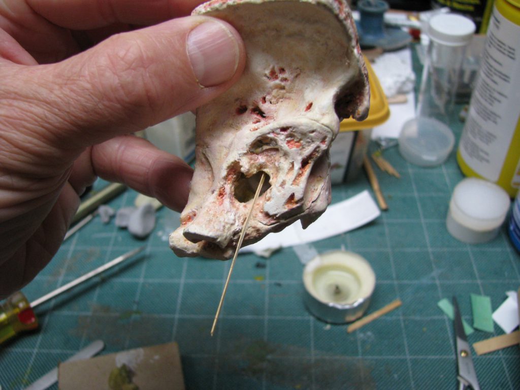 Colour photograph of a 3d printed inner ear