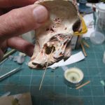 Colour photograph of a 3d printed inner ear