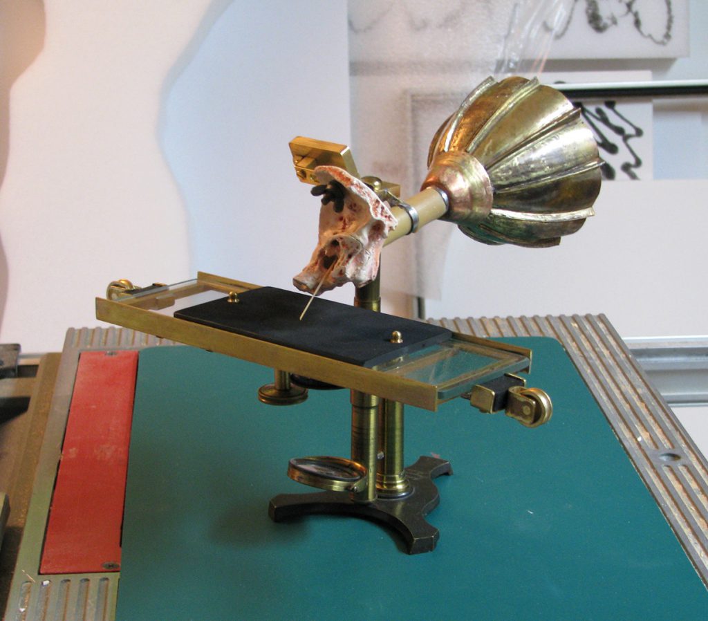 Colour photograph of a 3d printed inner ear attached to a brass mouthpiece and a glass etching plate