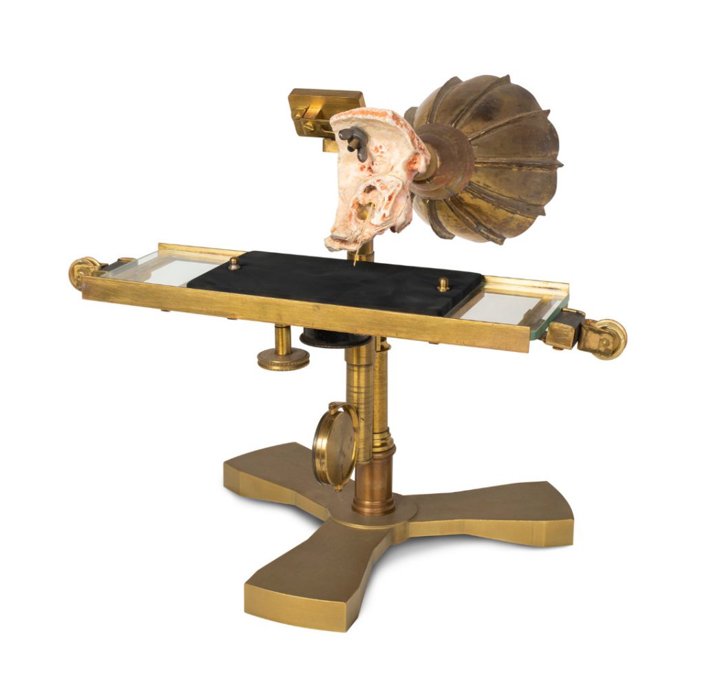 Colour photograph of a 3d printed inner ear attached to a brass mouthpiece and a glass etching plate