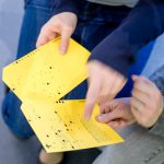 Colour photograph of museum visitors receiving an optical read out card
