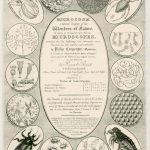 A lithographic advertisement for Philip Carpenters Grand Microcosm from 1827