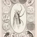 A lithographic advertisement for Philip Carpenters Grand Microcosm from 1827