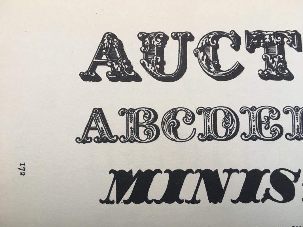 Photograph of an illustration of nineteenth century typographical fonts