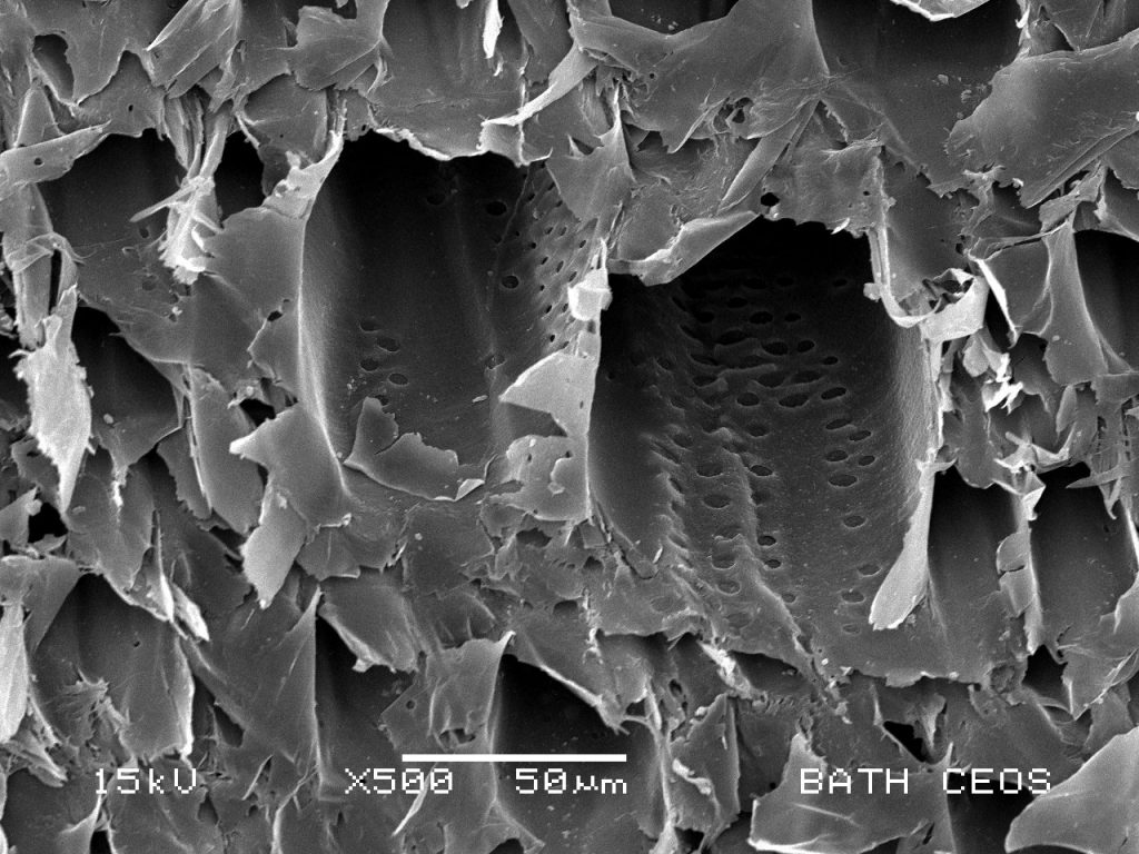 Black and white photomicrograph of the interlinked pore structure of hemp shiv