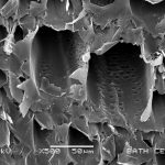 Black and white photomicrograph of the interlinked pore structure of hemp shiv