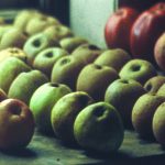 Film still showing colour image of apples on display