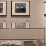 Colour photograph of a section of the Revelations experiments in photography exhibition at the National Media Museum in Bradford