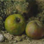 Watercolour painting of two apples and a snail shell