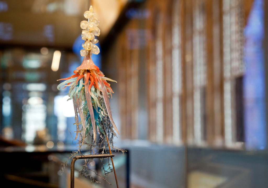 Colour photograph of a glass model of a siphonophore