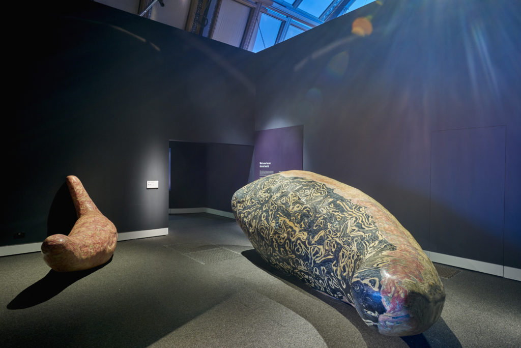 Colour photograph of cetacean scagliola sculptures in the Natural History Museum