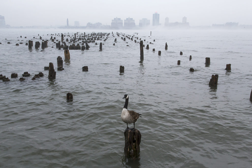 Colour photograph of an AIDS memorial installation in the Hudson River New York