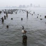 Colour photograph of an AIDS memorial installation in the Hudson River New York