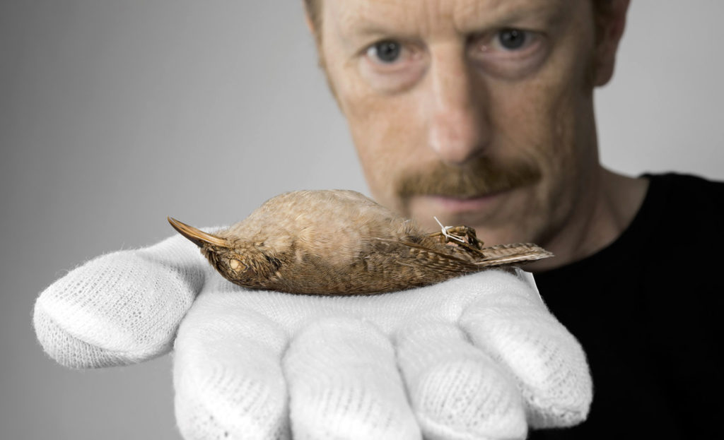Photograph of Simon Faithfull holding a dead bird specimen