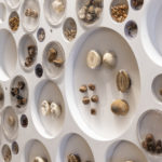 Colour photograph of a urinary stones museum display