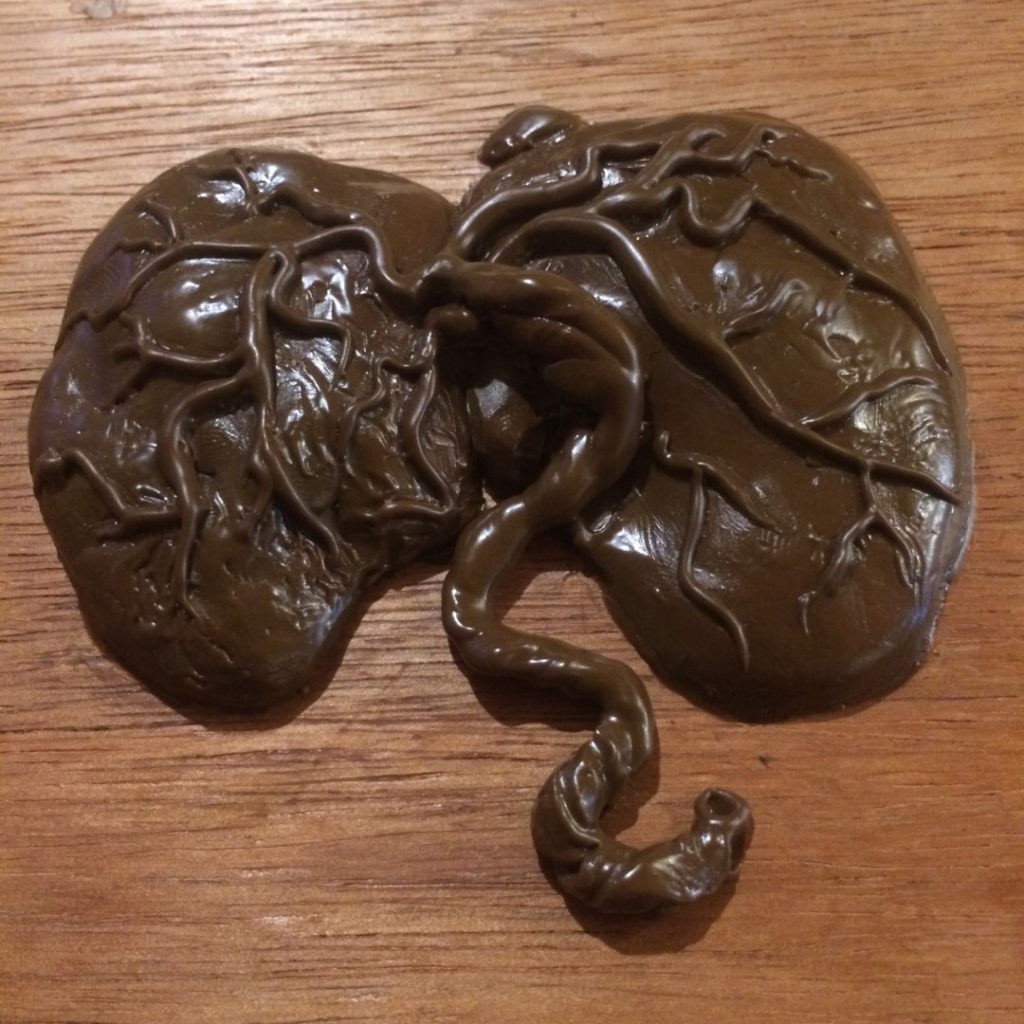 Colour photograph of a mould for an amulet in the shape of lungs