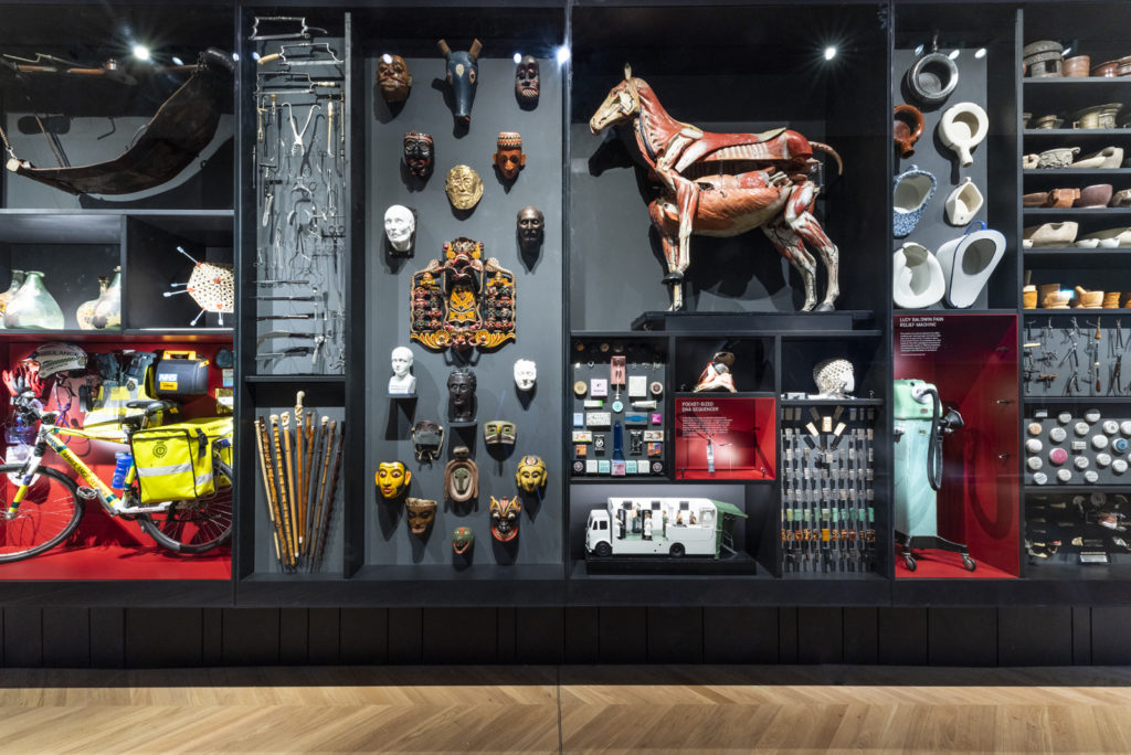 Colour photograph of the cabinet of curiosities display case