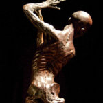 Colour photograph of a sculpture of a human figure without skin