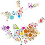 Inspiration diagram for the Bloom installation of a human disease network