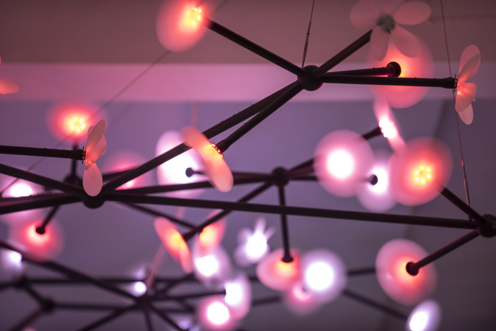 Colour photograph of the Bloom light installation