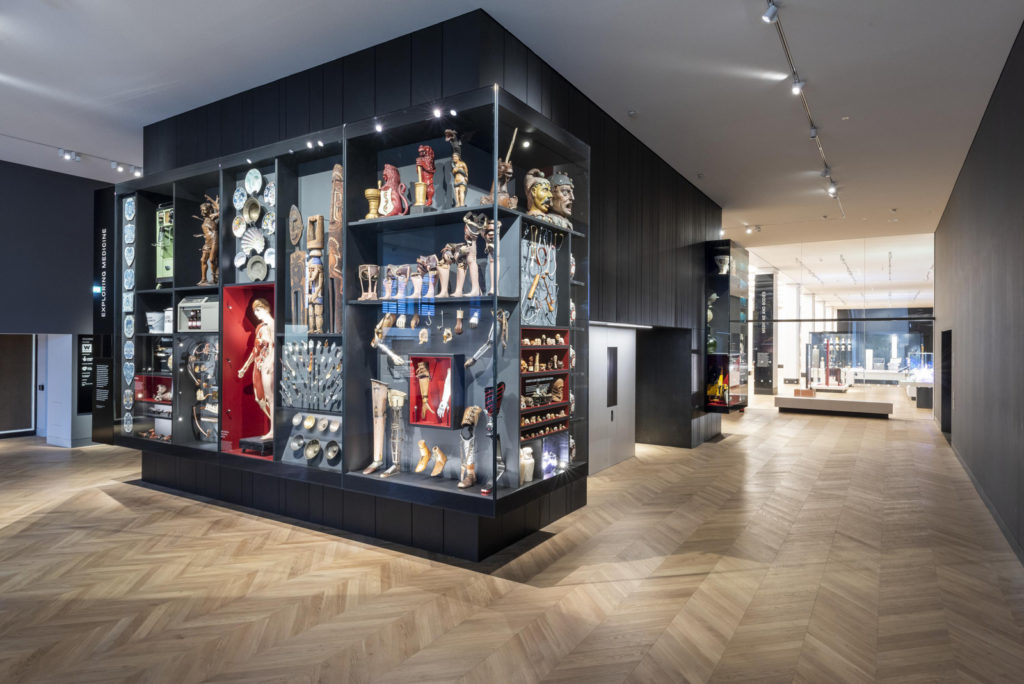 Colour photograph of a gallery view of Exploring Wellcome