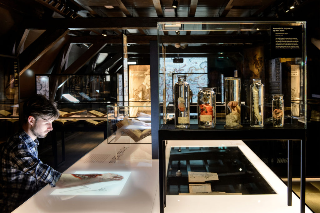 Colour photograph of an attendee at an anatomical specimen exhibition