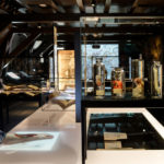 Colour photograph of an attendee at an anatomical specimen exhibition