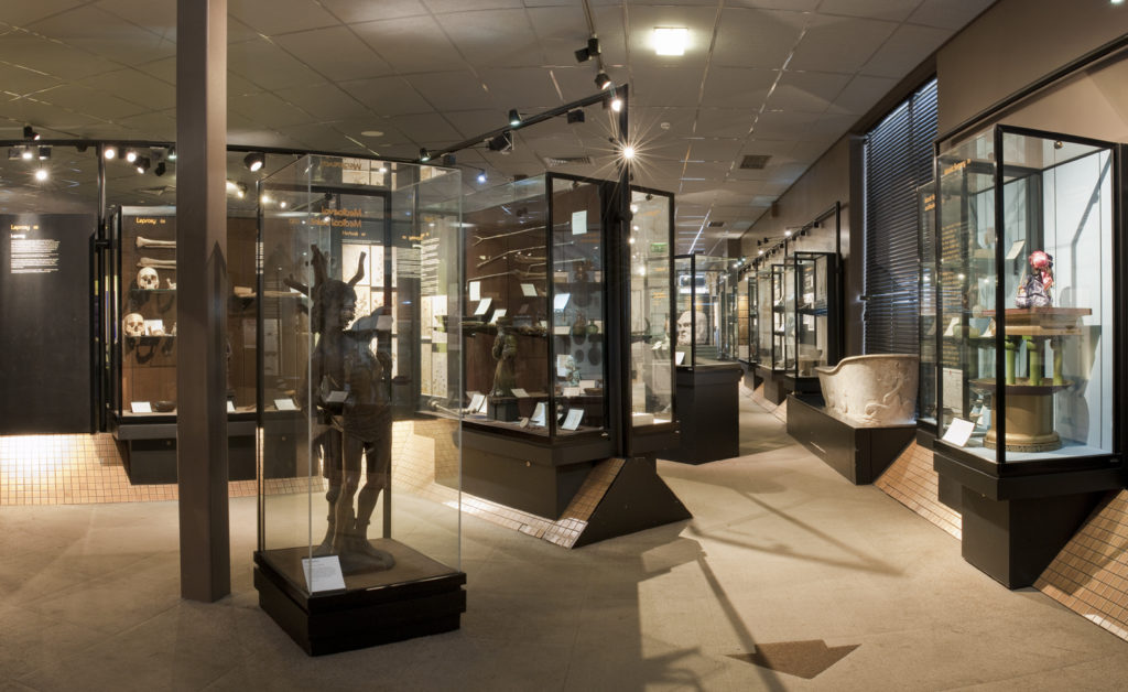 Colour photograph of The Science and Art of Medicine gallery displays