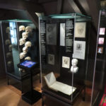 Colour photograph of anatomical display cabinets