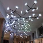 Colour photograph of the Bloom light installation