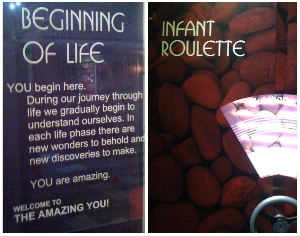 Colour photograph of text displays in The Amazing You exhibition