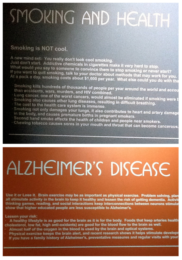 Colour photograph of text displays in The Amazing You exhibition