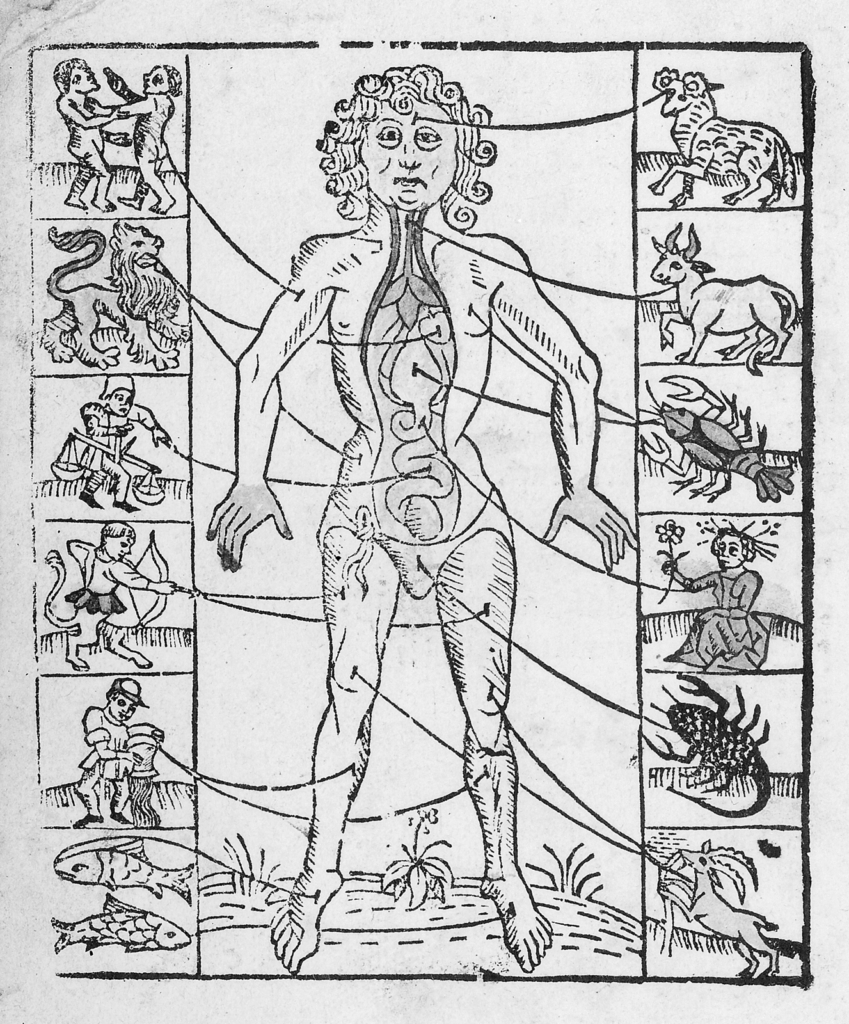 Zodiac man illustration showing the parts of the body controlled by the signs of the Zodiac