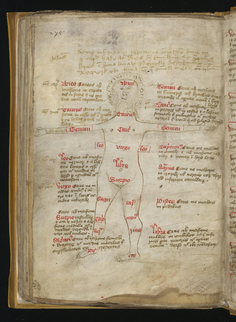 Zodiac man illustration showing the parts of the body controlled by the signs of the Zodiac