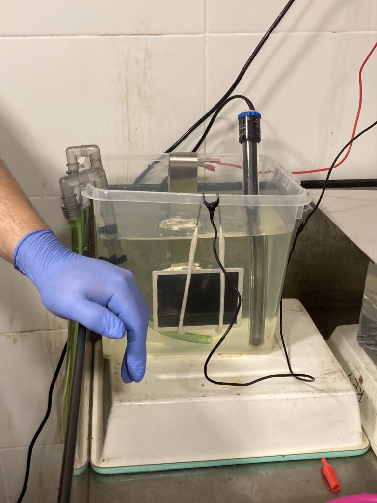 Photograph of the process of making an electroplate for a Daguerrotype