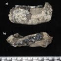 Photograph of a humanoid jawbone from circa 2.8 million years ago