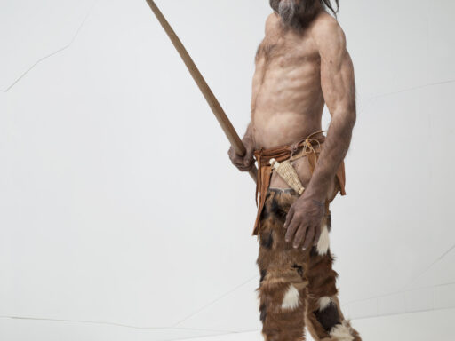 Photograph of a model of prehistoric iceman