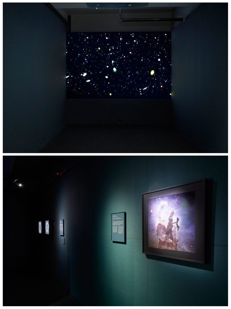 Colour photographs of artworks within an exhibition