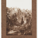 Image of a number of gauzy fabrics, with a vague outline of a fairy on the right-hand side of the image. It is very sunny, and there are many flowers. The photograph has been pasted to brown cardboard, on which is printed 'E. Fairy, Sunbath, Elves'